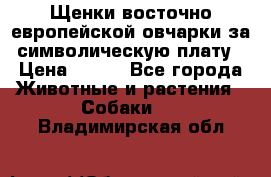 Щенки восточно европейской овчарки за символическую плату › Цена ­ 250 - Все города Животные и растения » Собаки   . Владимирская обл.